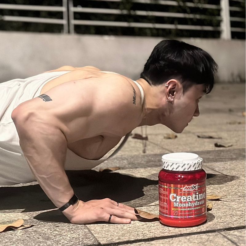 Amix Creatine Monohydrate Micronized Powder – 500 g