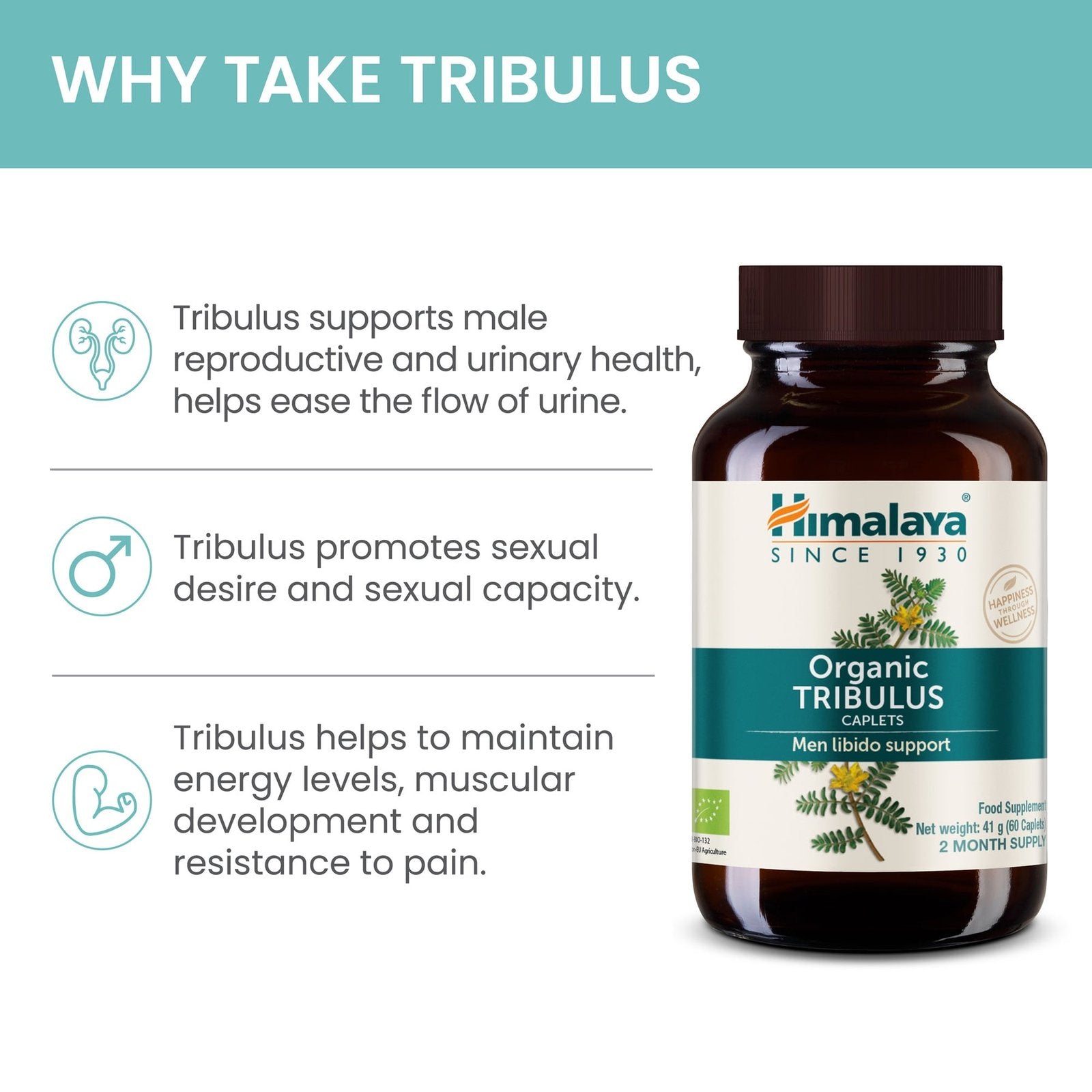 UUS-Amazon_TRIBULUS-2024-banners2_1800x1800