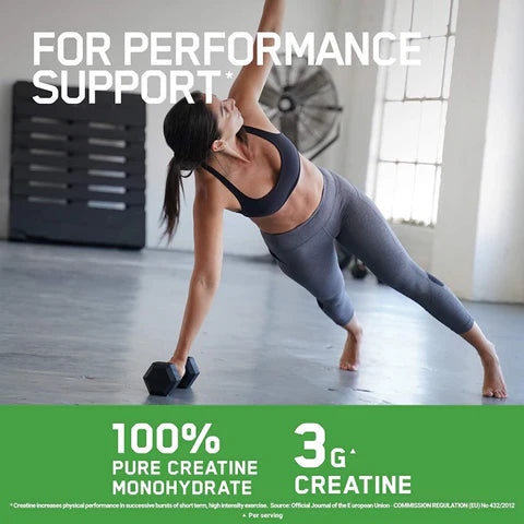 Optimum Nutrition Micronized Creatine Powder 317g hind