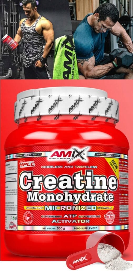 Amix Creatine Monohydrate Micronized Powder – 500 g