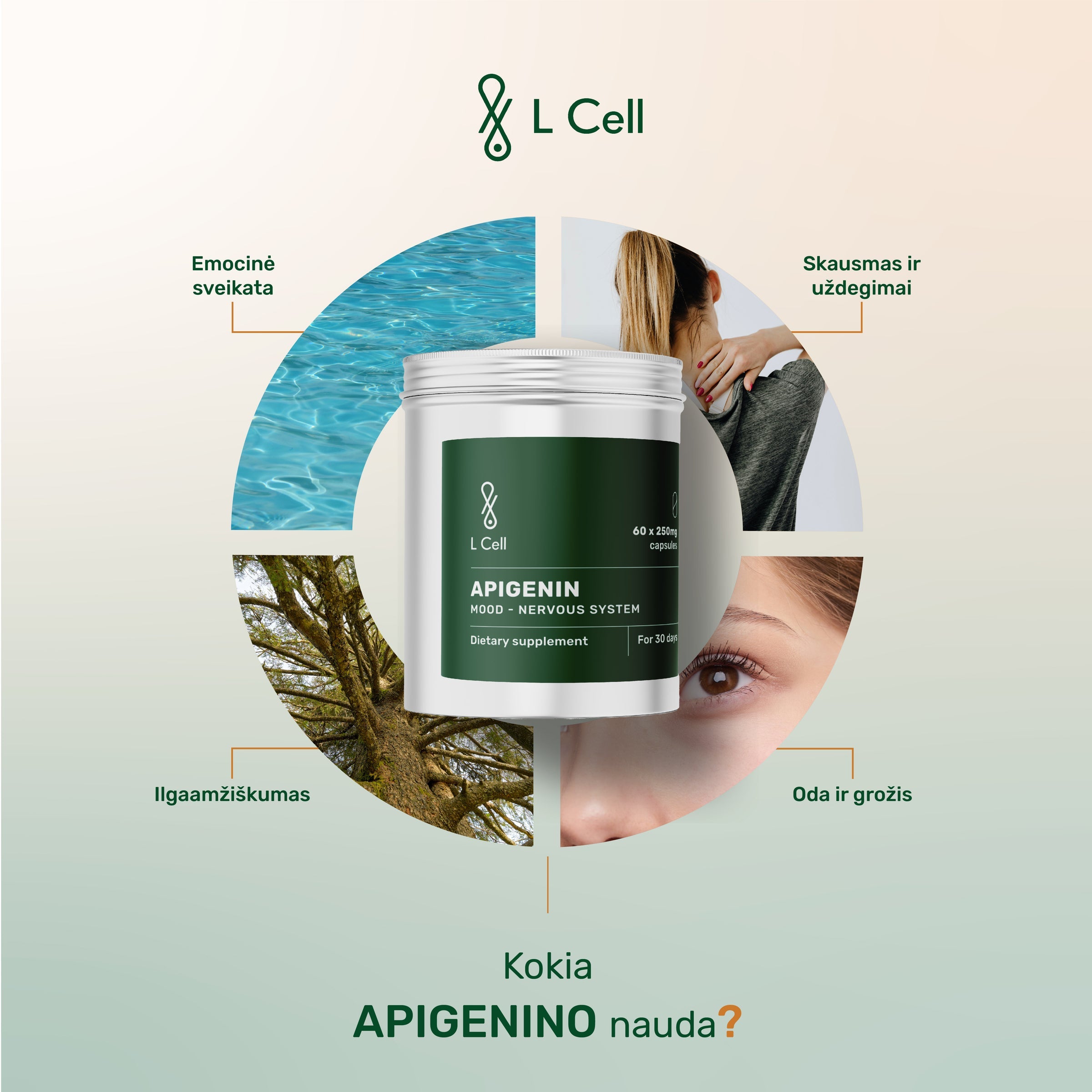 L Cell Apigenin Capsules 250mg (30 days, 60 pcs.)