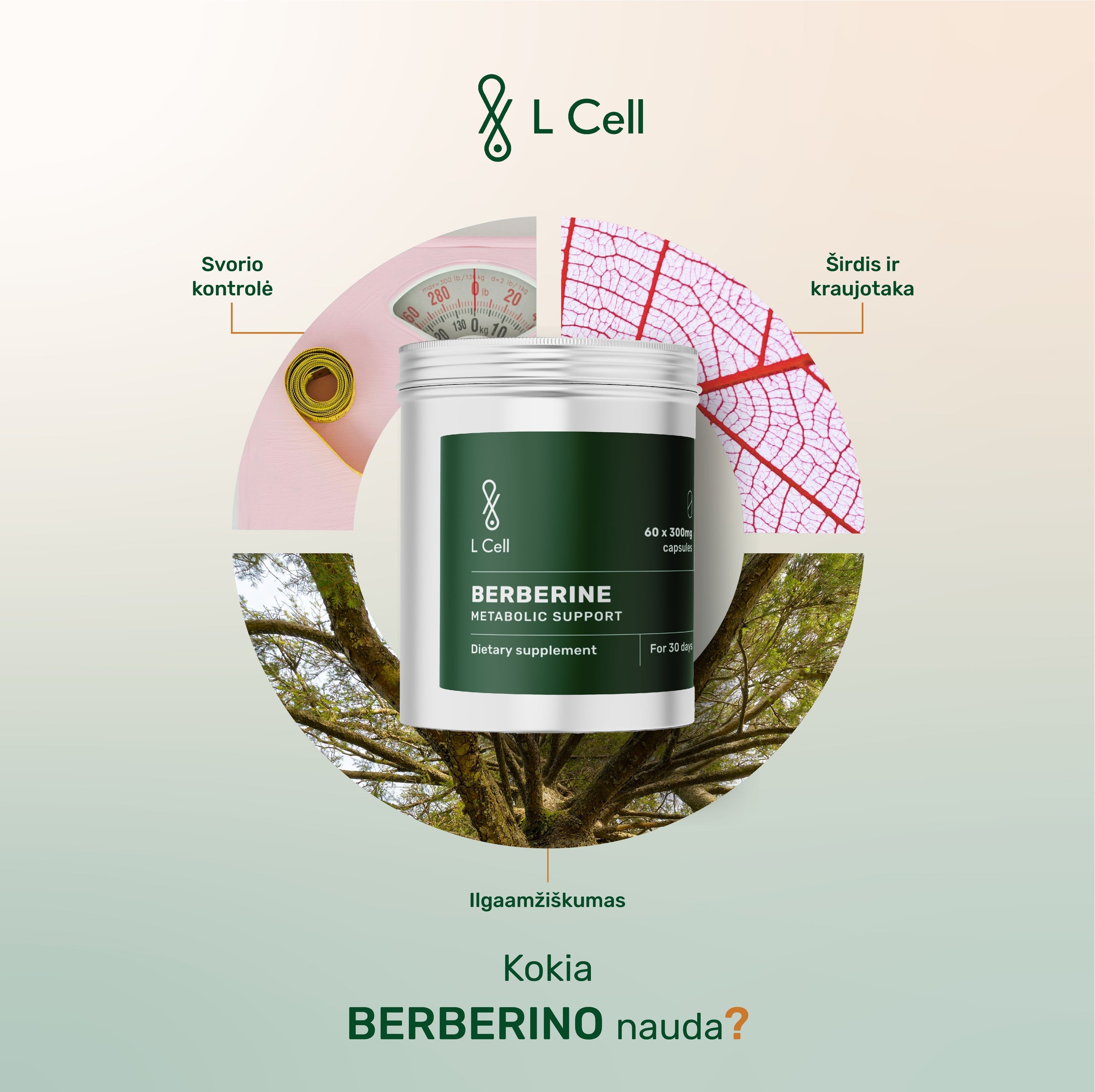 L Cell Berberine, Capsules 300 mg, 60 Capsules
