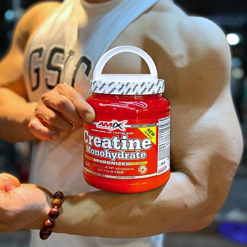 Amix Creatine Monohydrate Micronized Powder – 500 g