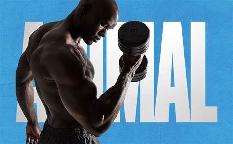 animal_micronized_creatine_500g_unflavoured_banner