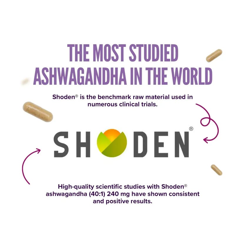 HSN Ashwagandha Extract Shoden® 40:1 – 60 Vegan Capsules