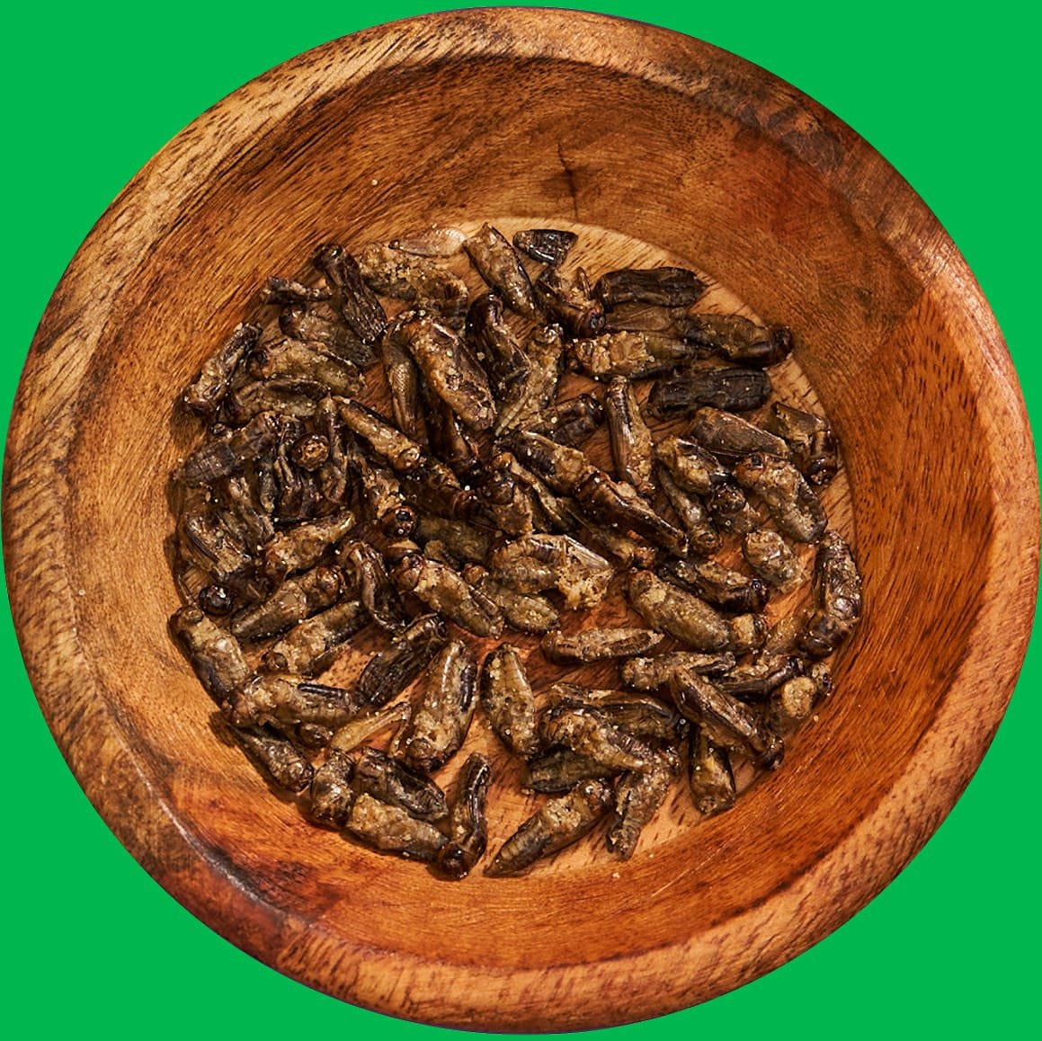 Taldrik-Crickies-taustata-1